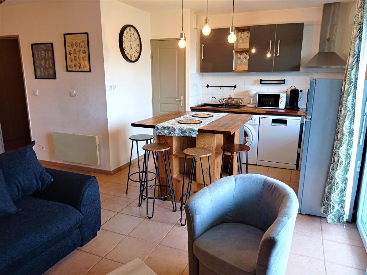 Appartement Proche Cite Medievale Et Centre Ville - Parking Prive Carcassonne Zewnętrze zdjęcie