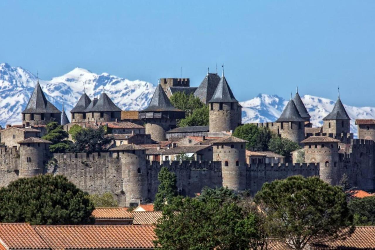 Appartement Proche Cite Medievale Et Centre Ville - Parking Prive Carcassonne Zewnętrze zdjęcie